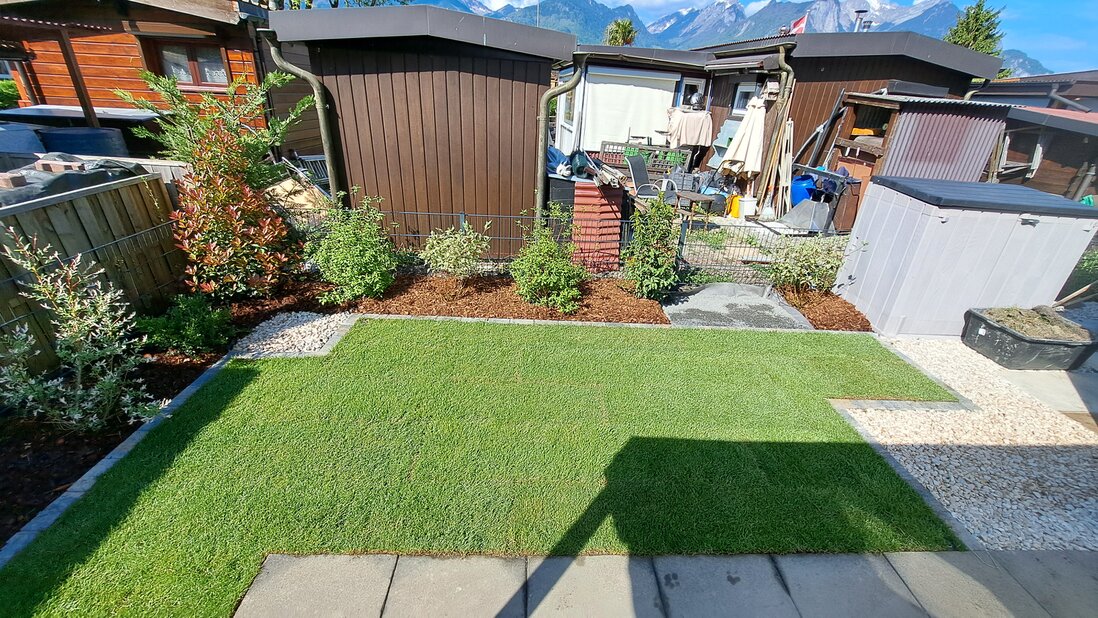 Engazonnement par semis ou plaque précultivé