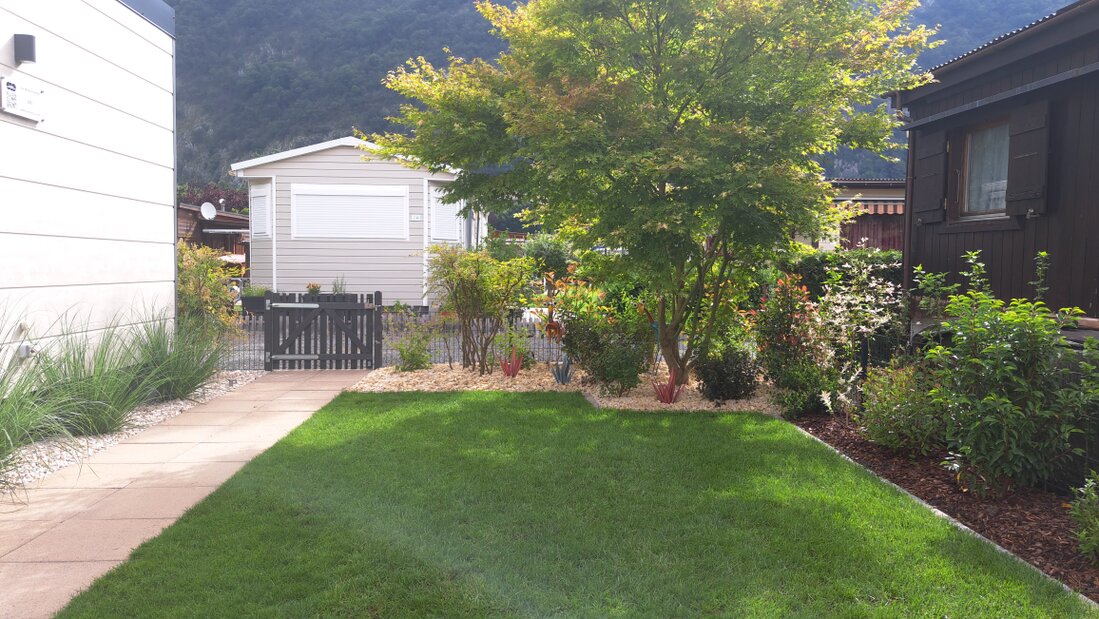 Végétalisation de massif, bac et création de haie